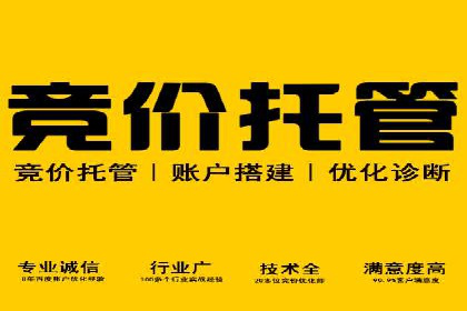 百度搜索推广实战经验：经典案例剖析